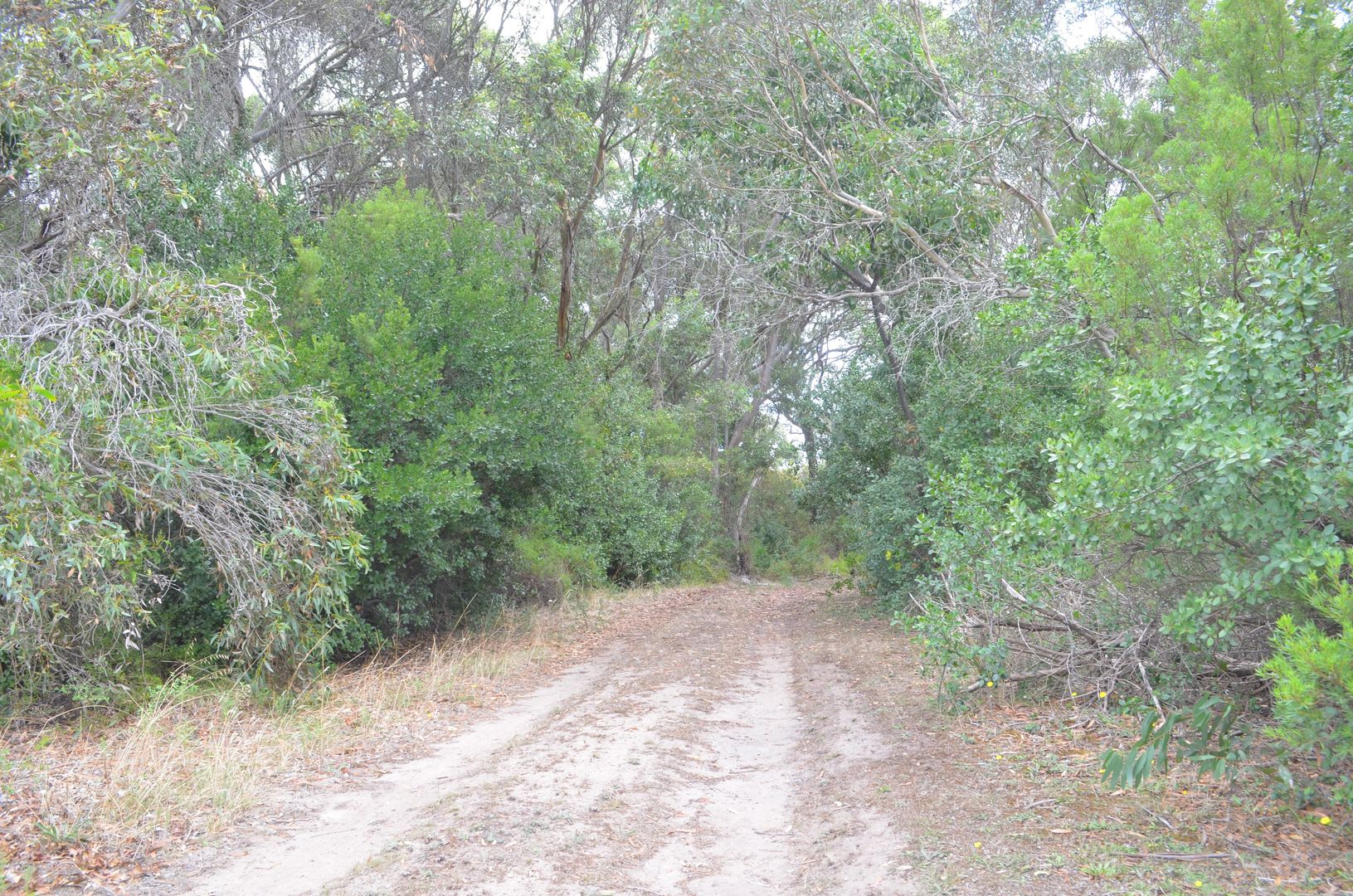 Lot 4 Nora Creina Road, Robe SA 5276, Image 1