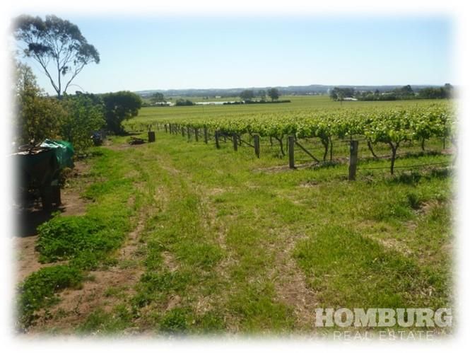 273 Saleyards Road, Penrice SA 5353, Image 1