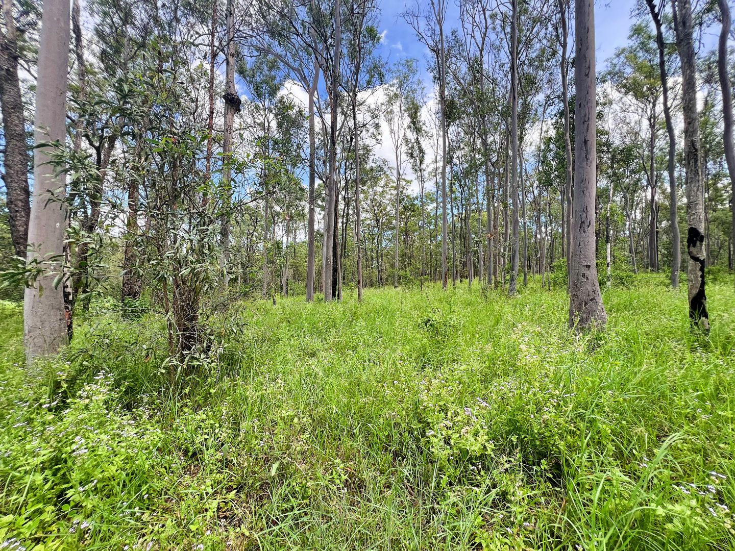 Lot 4 Gaeta Road, Gaeta QLD 4671, Image 1