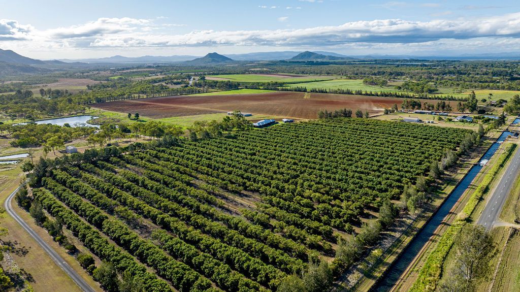 105 Channel Road, Walkamin QLD 4872 House for Sale Domain