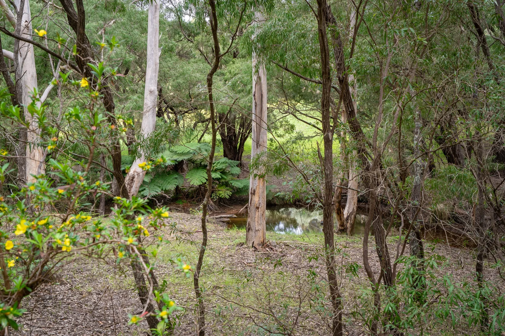 Image 10