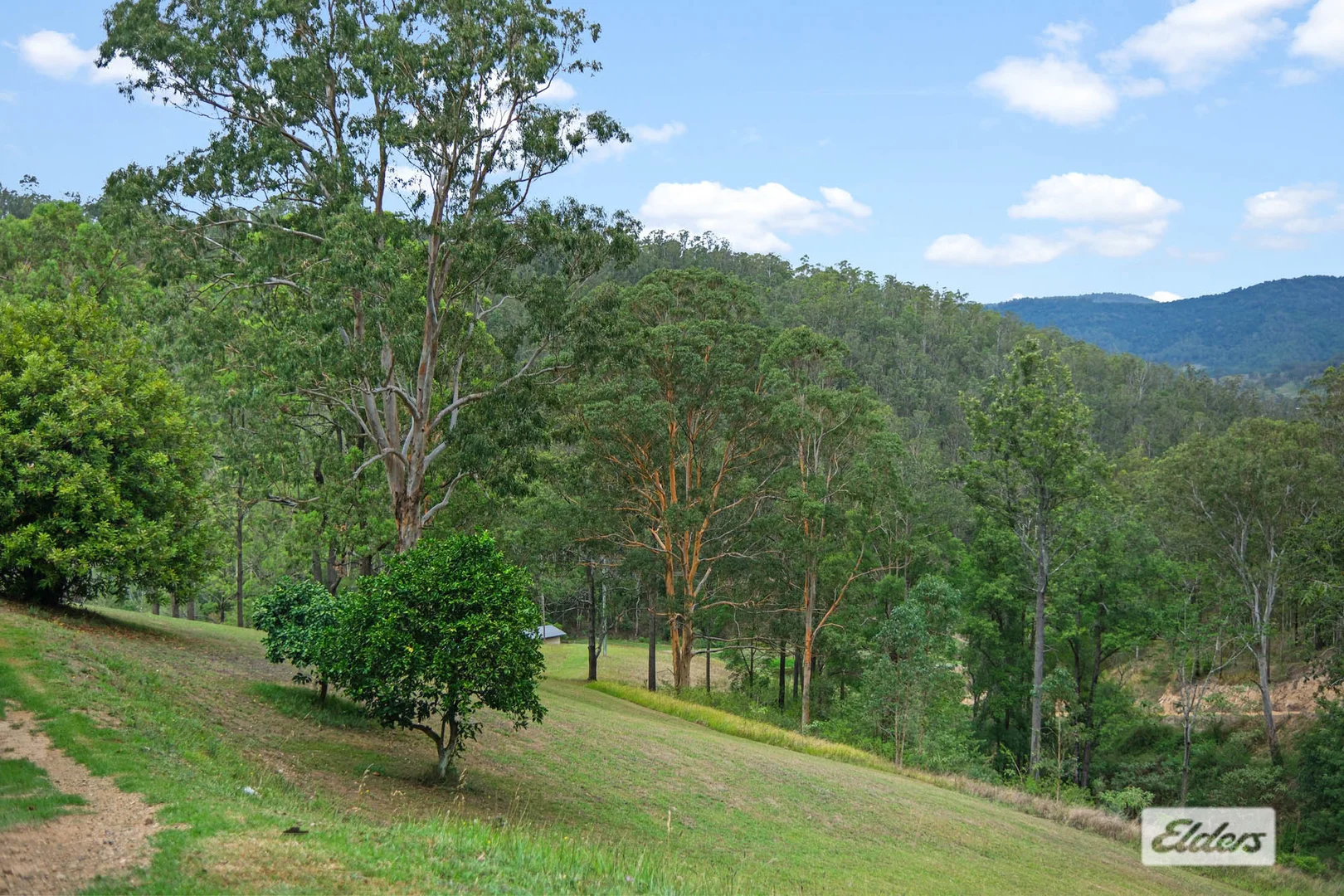 Image 25