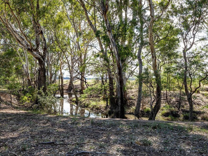 Lot D Block D Hoods Lane, Moormbool West VIC 3523, Image 2