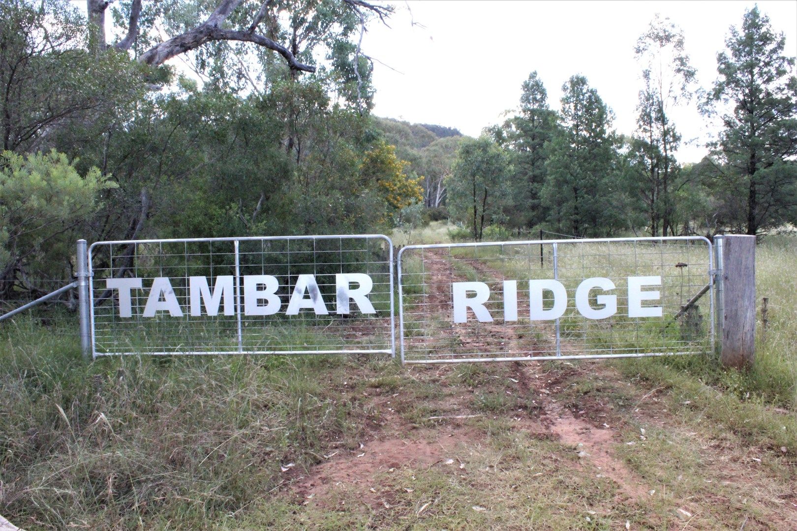 100 High, Tambar Springs NSW 2381, Image 0