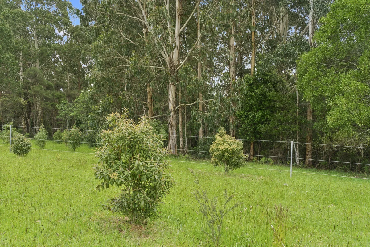 Image 15
