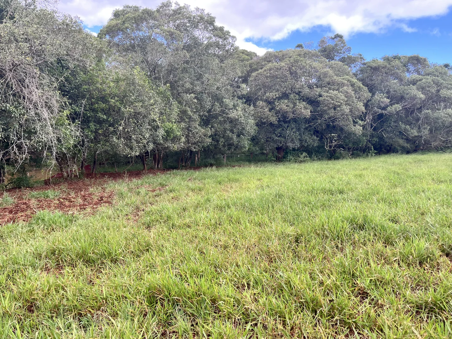 Image 14
