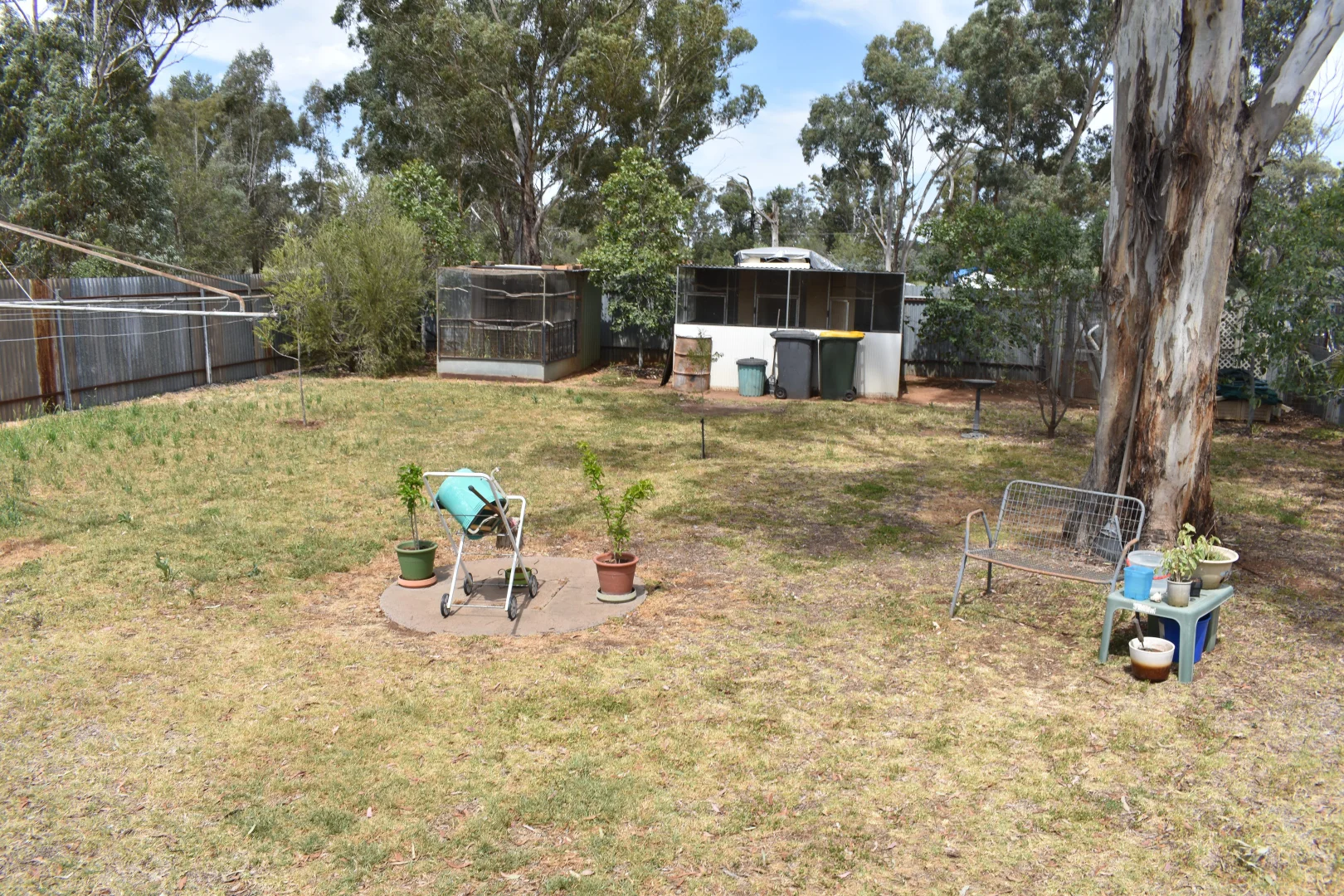 Image 12