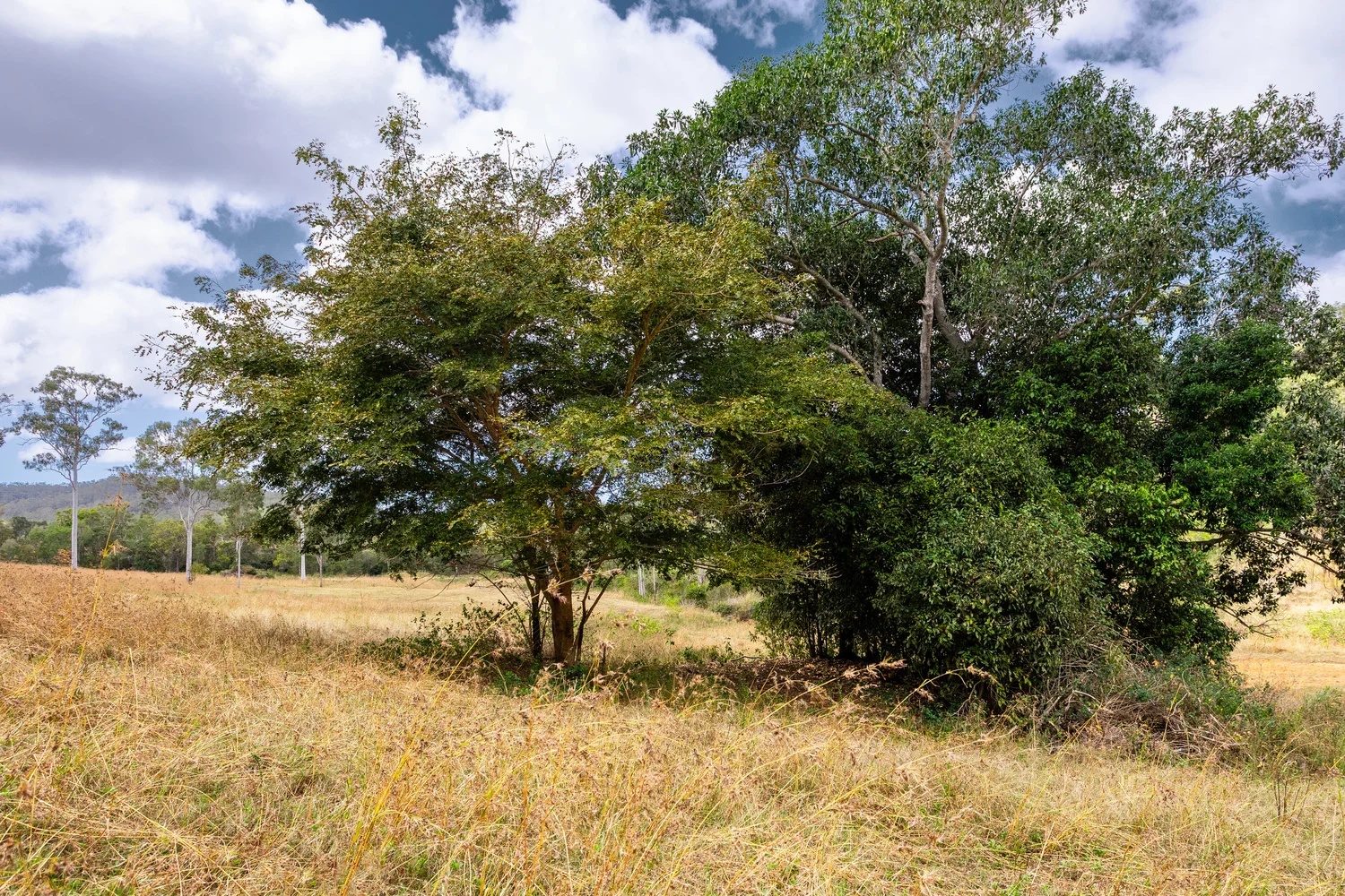 Image 29