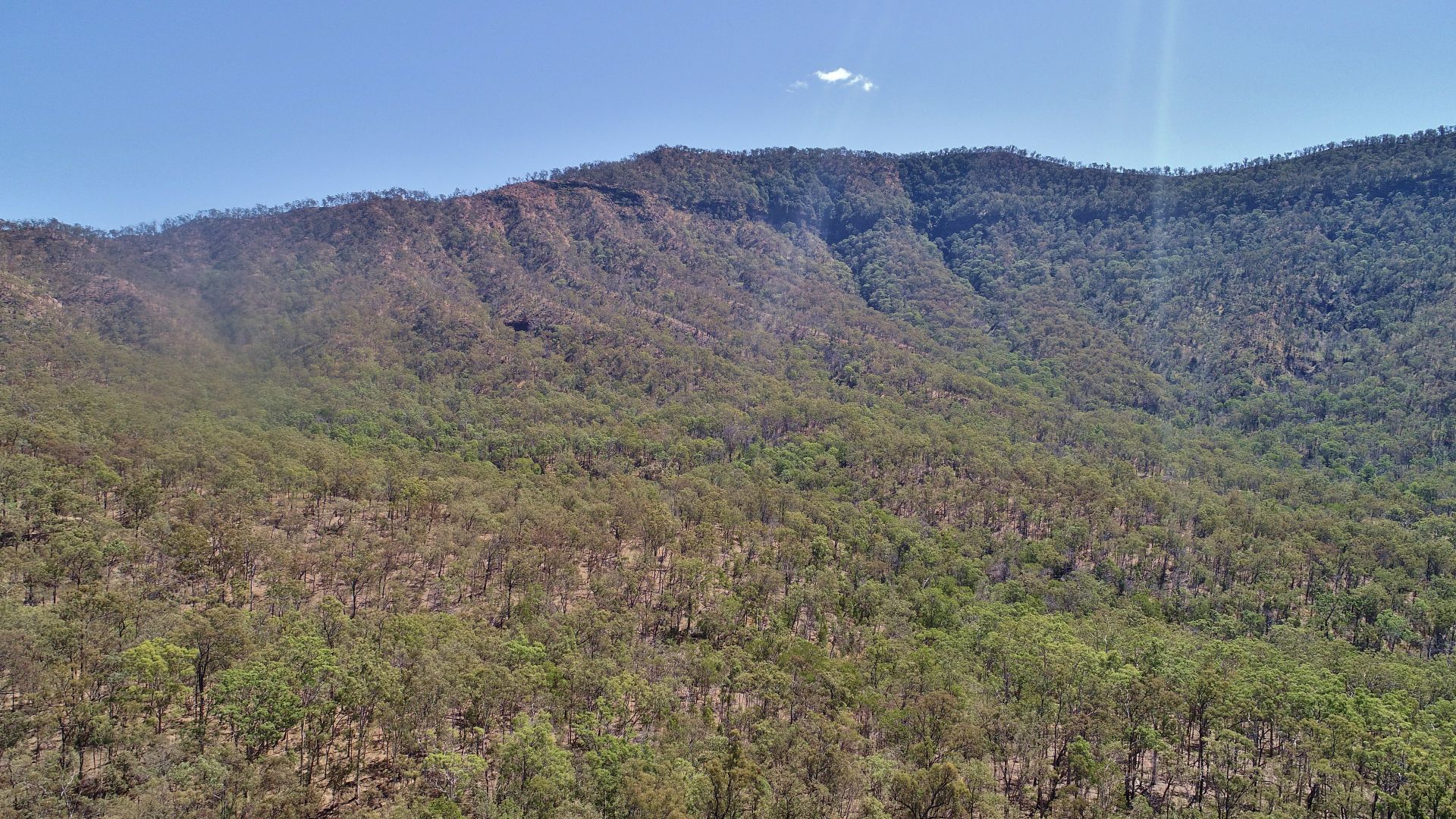 Thornton QLD 4341 House for Sale Domain