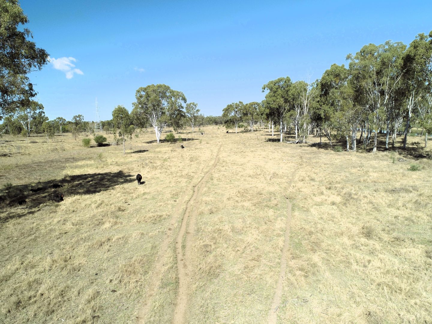 Port Curtis Rd, Port Curtis QLD 4700, Image 1