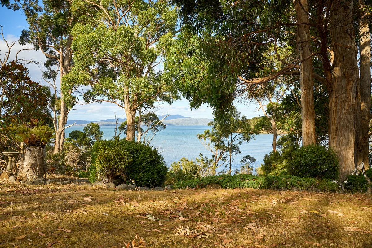 Image 15