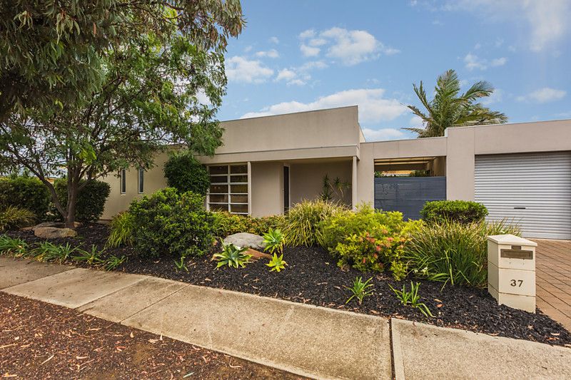 37 Elder Terrace, Glengowrie SA 5044, Image 0