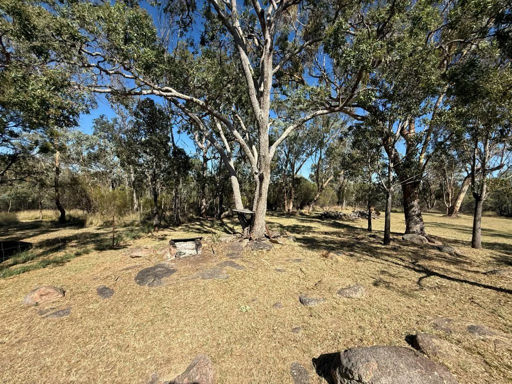 Image 41