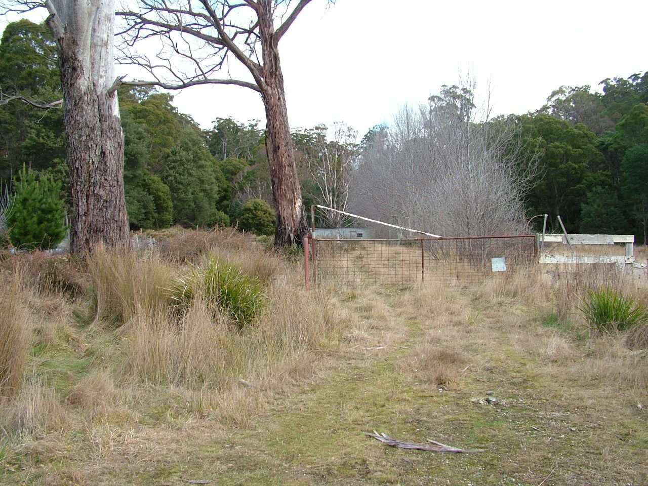 Lot 3 Upper Esk Rd, Upper Esk TAS 7214, Image 1