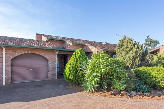 Picture of 11/141 Riseley Street, BOORAGOON WA 6154