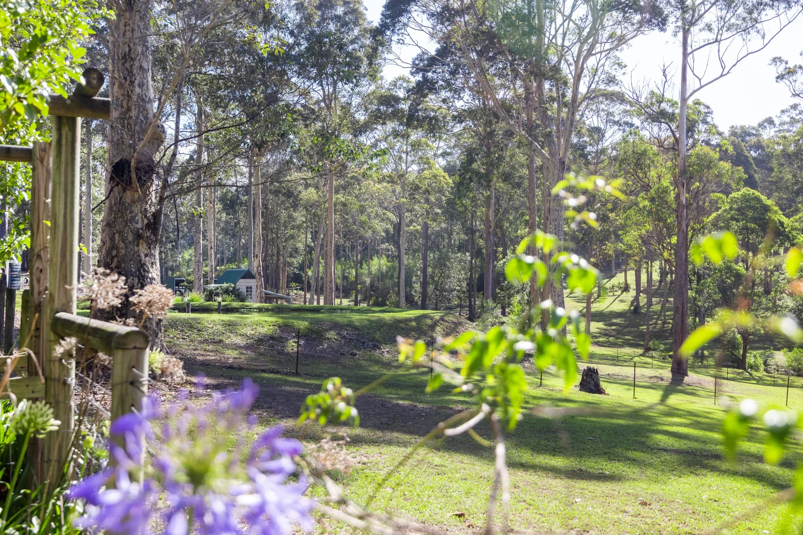 Additional image 42 of 82 Jack Reid Road, Termeil NSW 2539