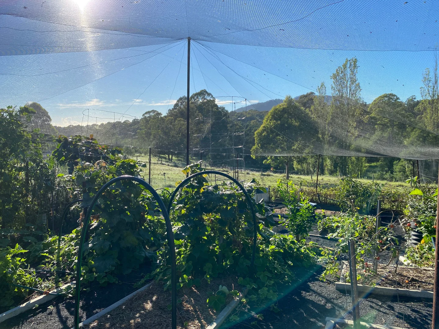 Additional image 12 of 94 Israels Road, Verona NSW 2550