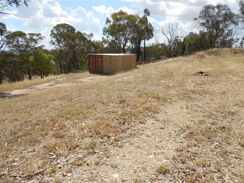 Image 11