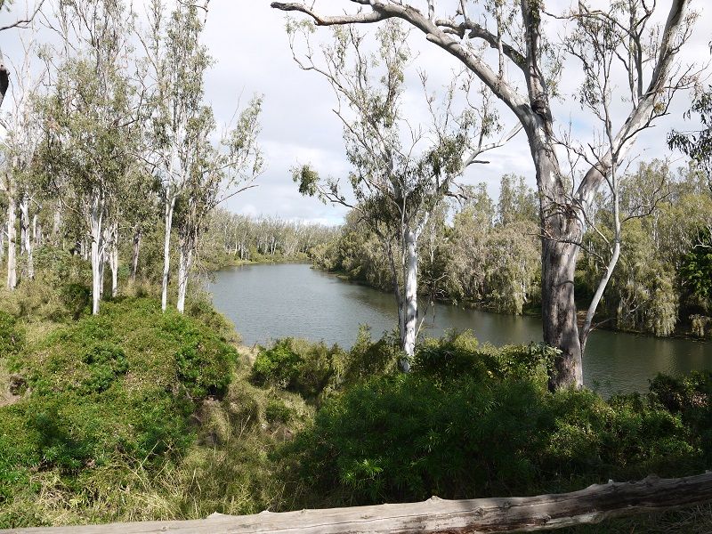 781 Herbert River Road, Innot Hot Springs QLD 4872 House for Sale