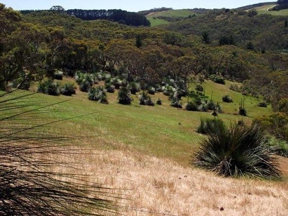 Lot 1/Lot 1 Tunk Head Road, TUNKALILLA SA 5203, Image 1