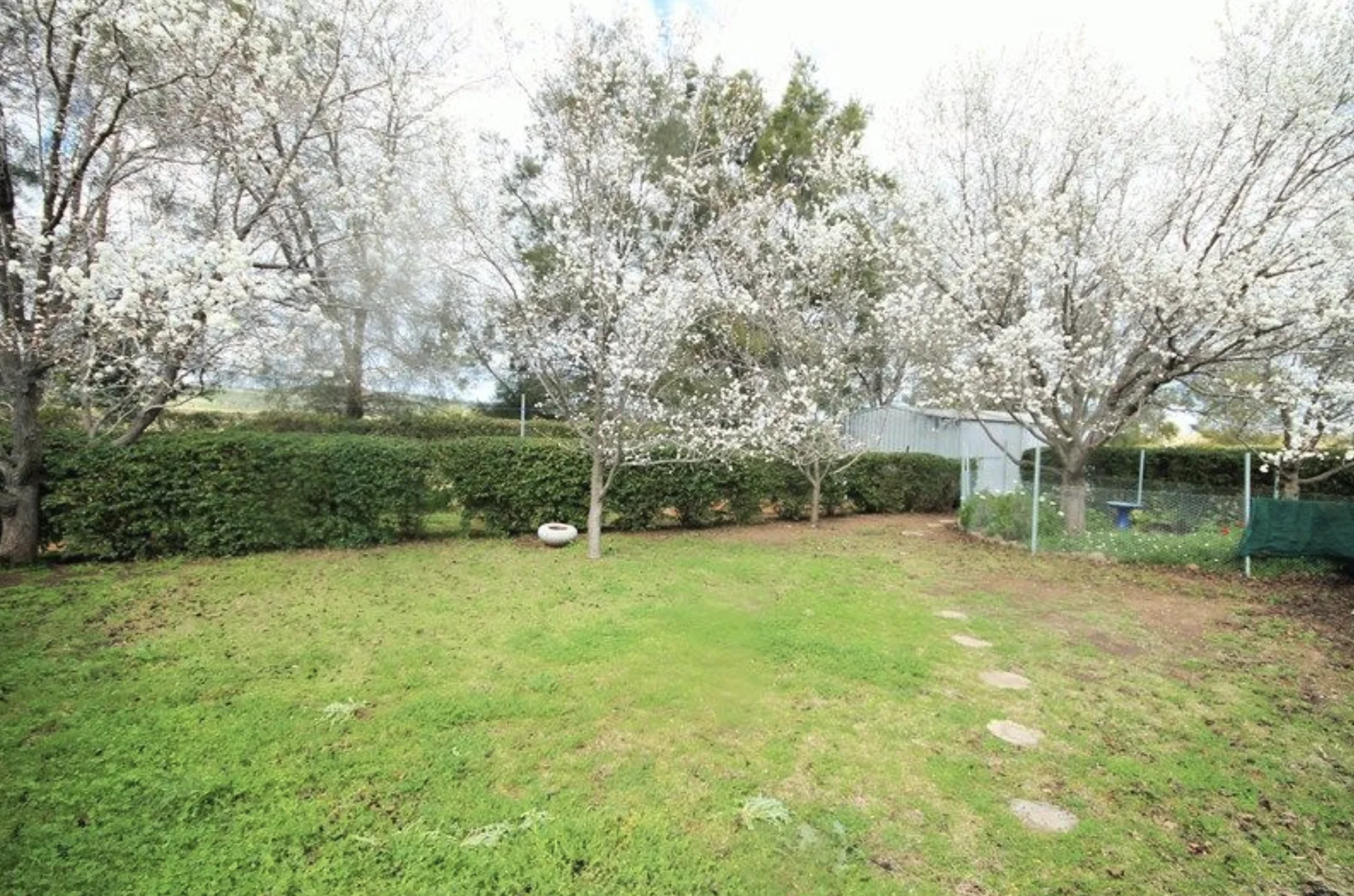 Image 7