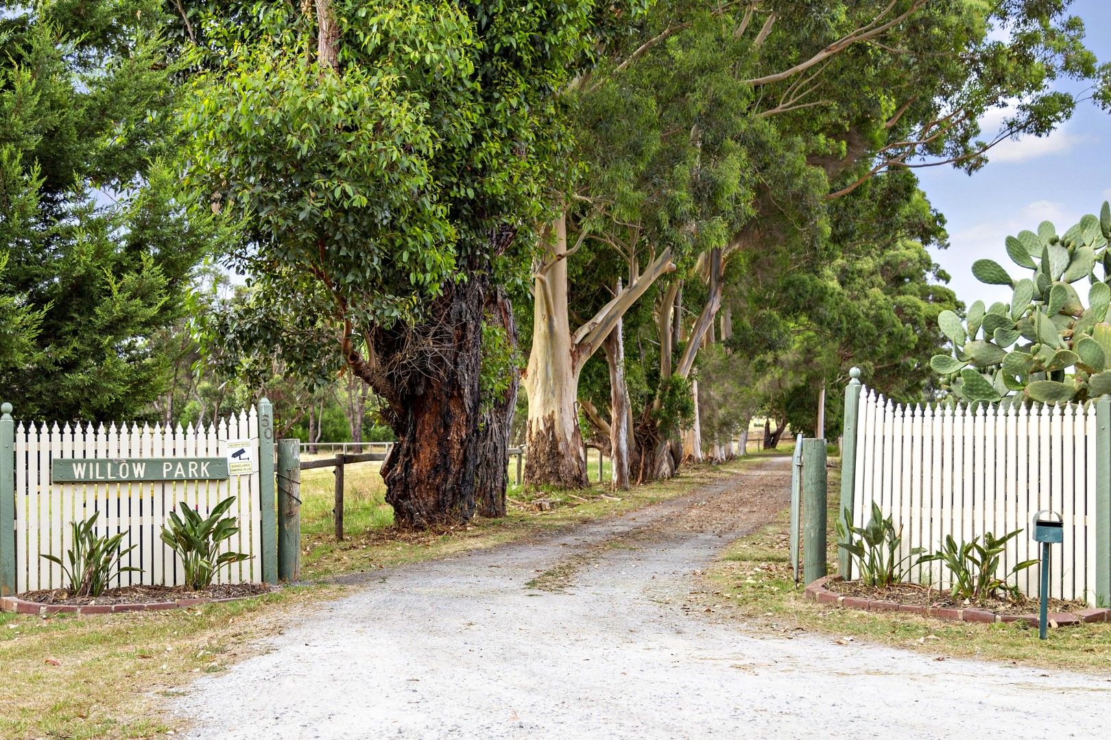 50 Highview Road, Skye VIC 3977 House for Sale Domain