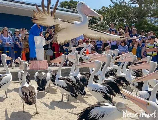 Additional image 12 of 6/144 Frank St, Labrador QLD 4215