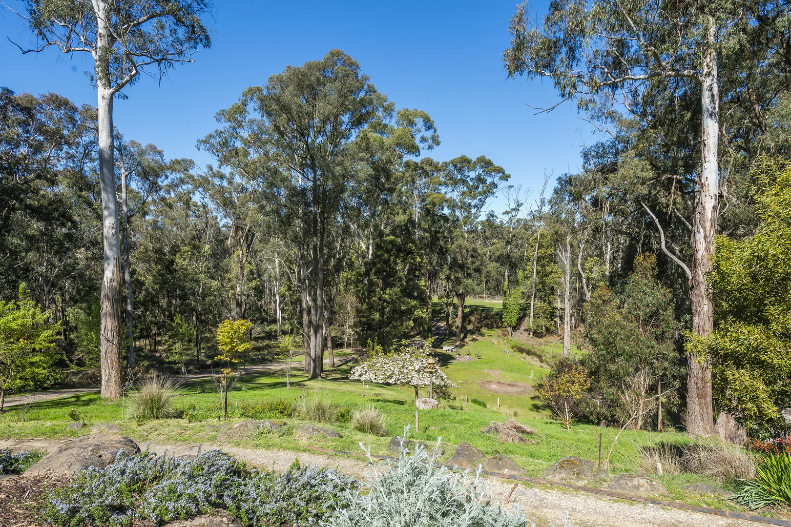 Image 18