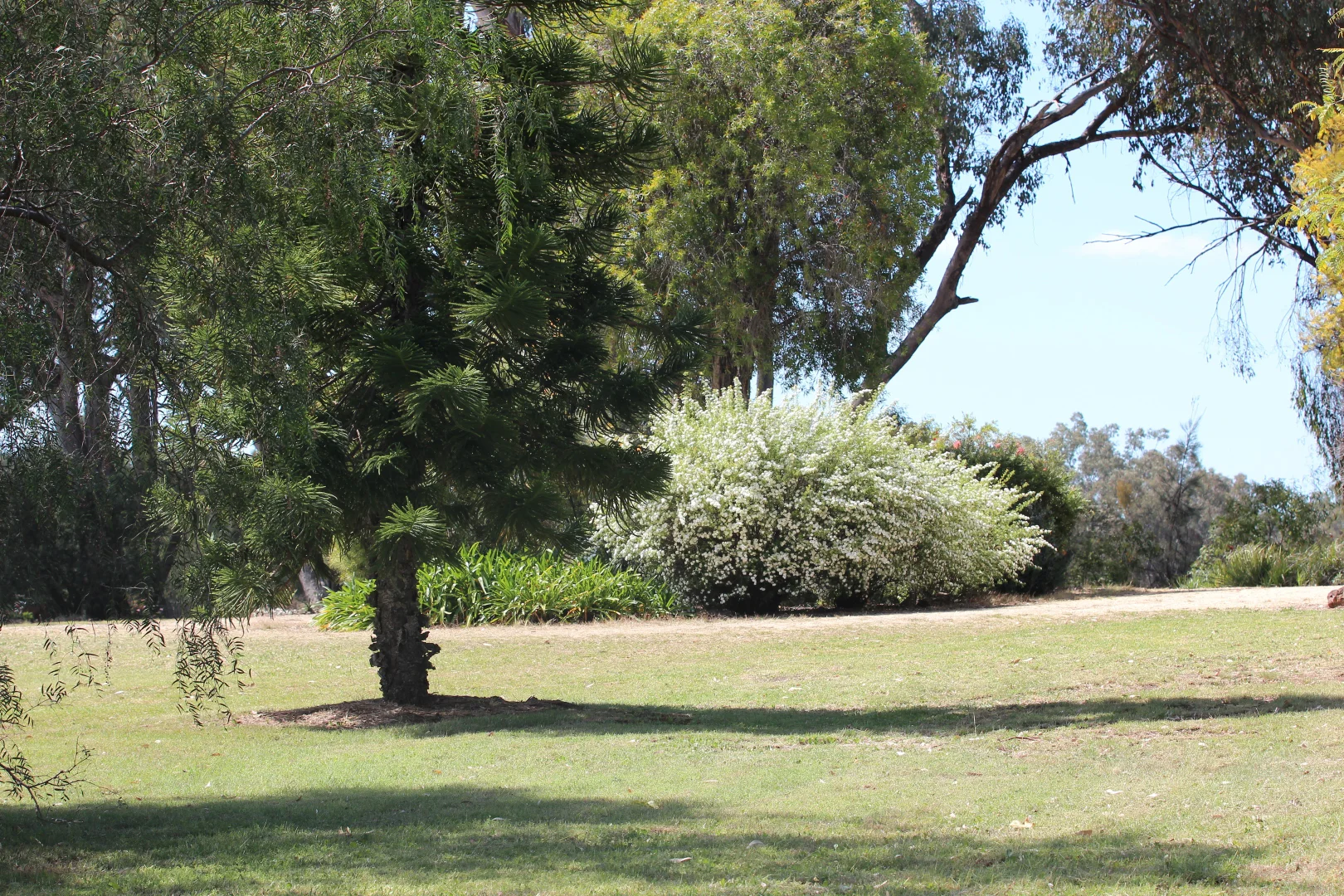 Image 34