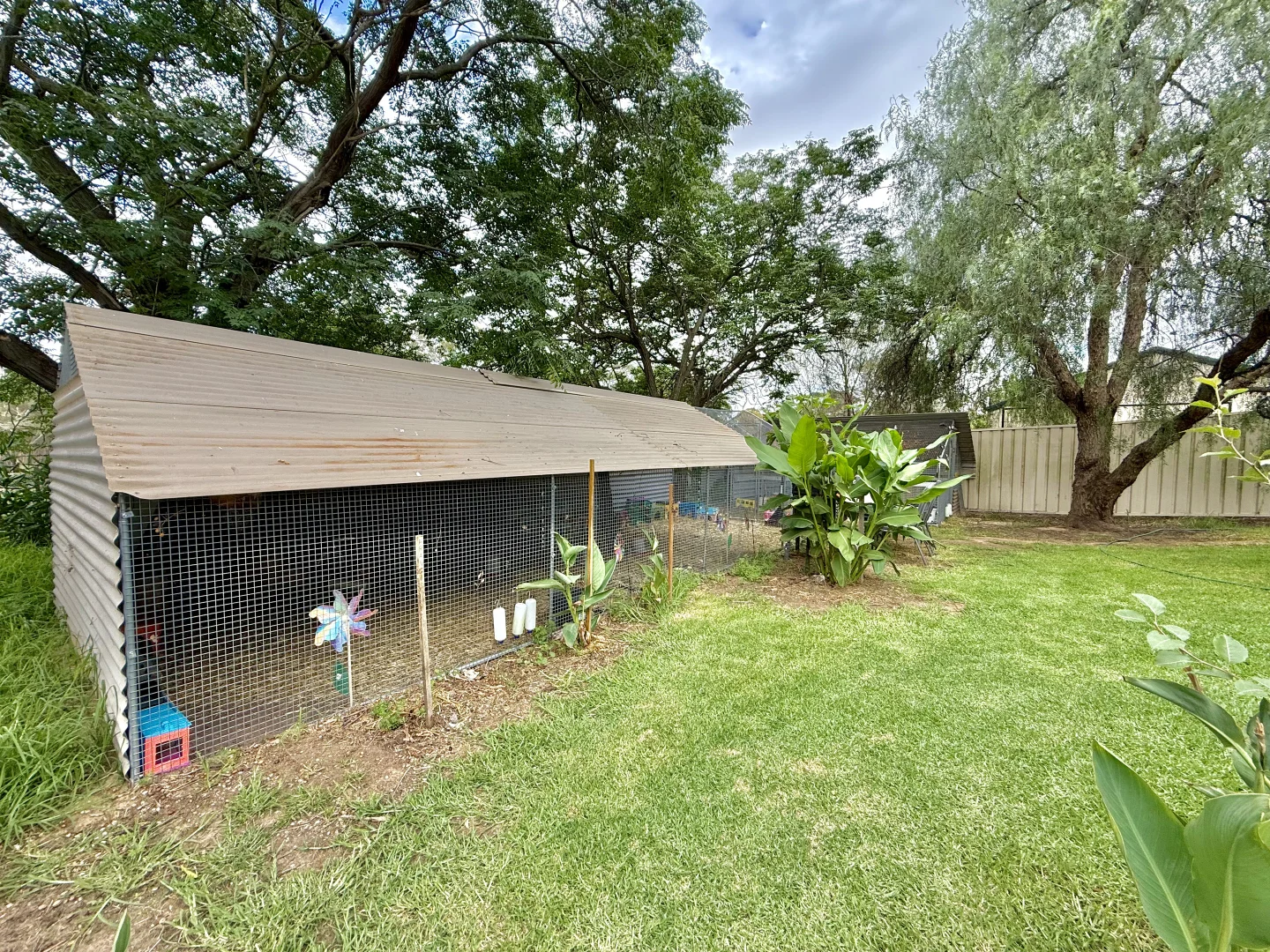 Image 15