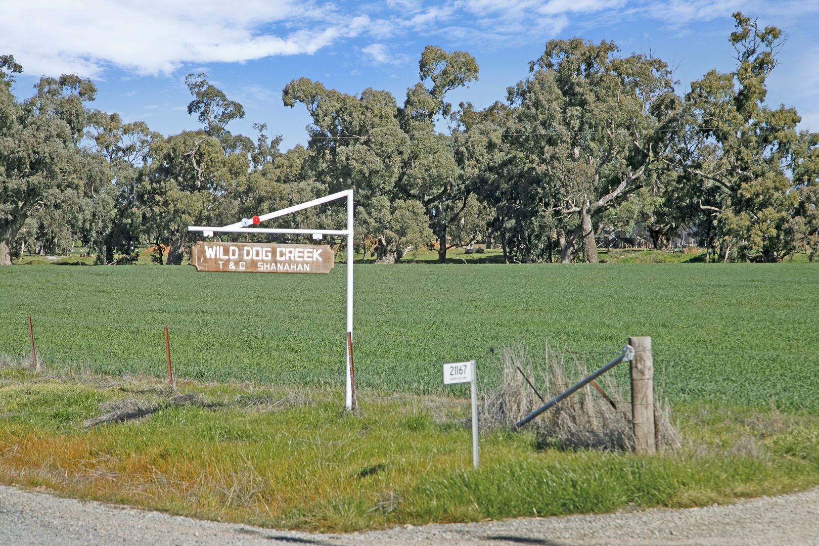 'Wild Dog Creek' Horrocks Highway, Melrose SA 5483, Image 1