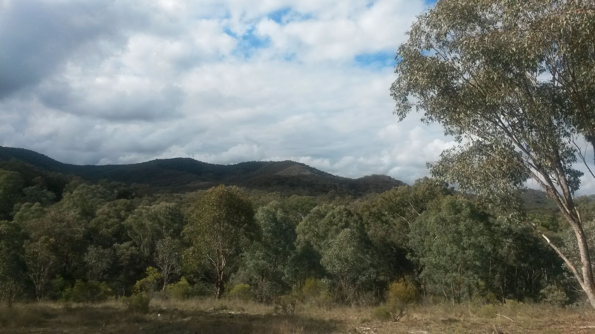 Hayes Gap NSW 2850, Image 1