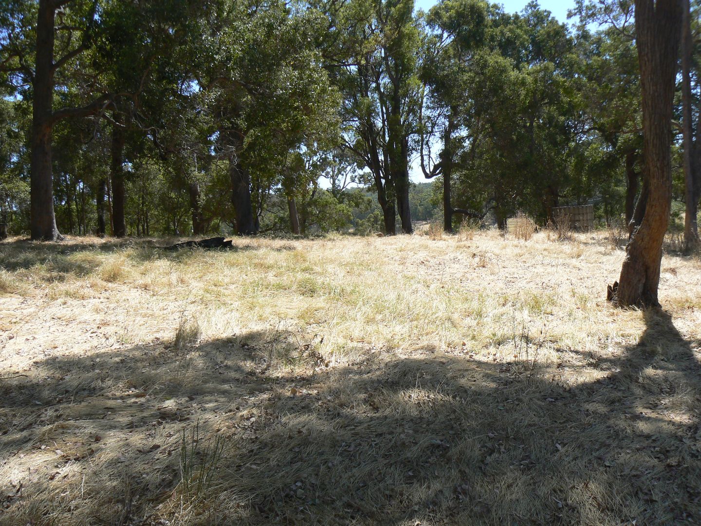 57 Thomson Street, Donnybrook WA 6239 Vacant Land for Sale Domain