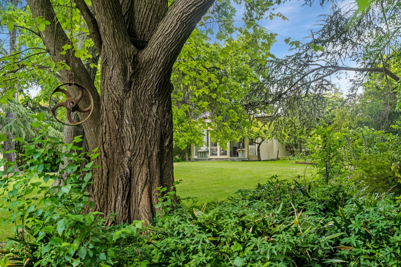 Image 18