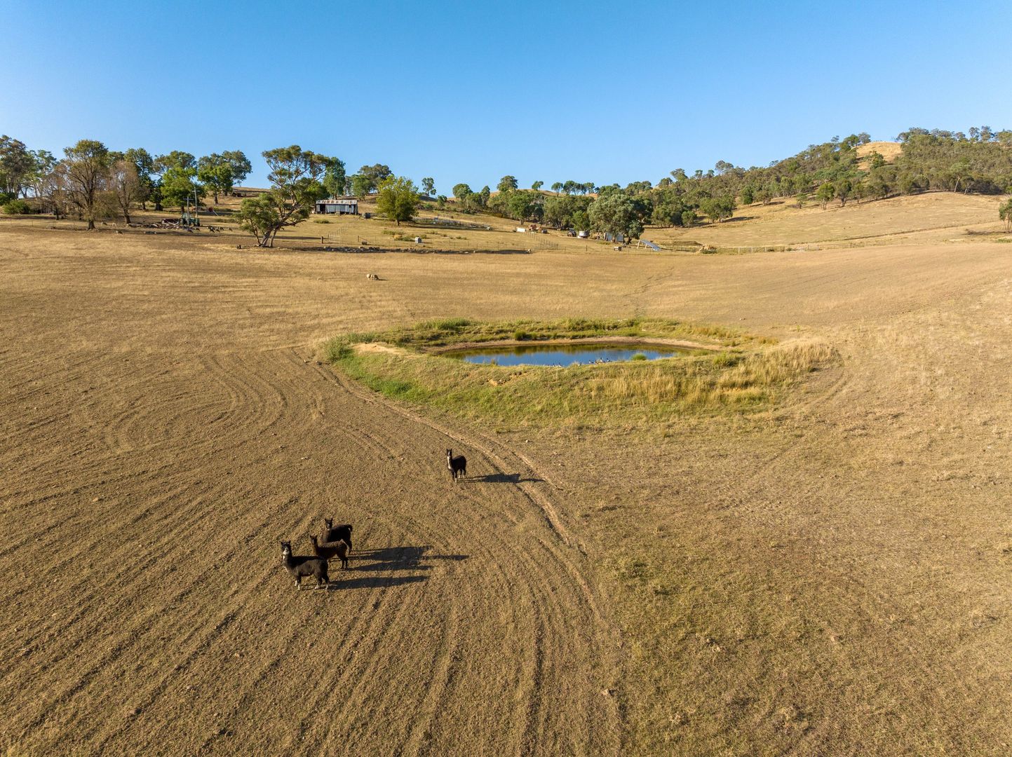 2543 Westbrook Road, Oberne Creek NSW 2650, Image 1