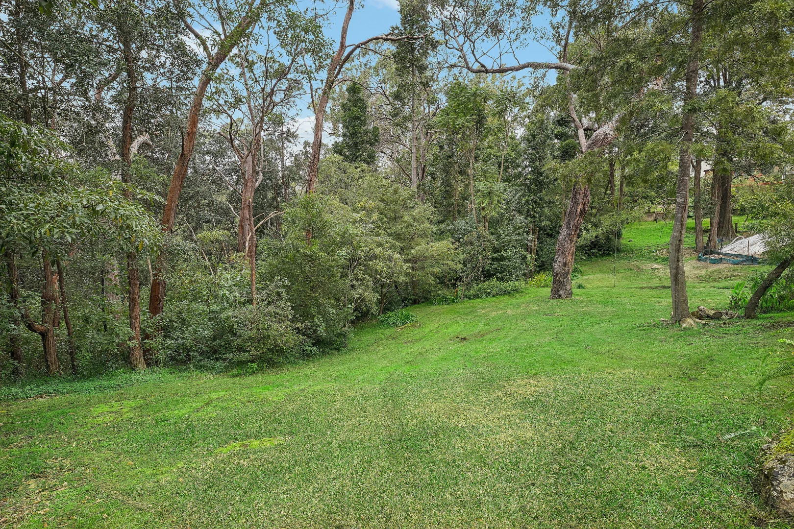 Image 12