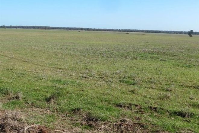 Picture of Lot 2 183 Boltes Lane, WEST WYALONG NSW 2671