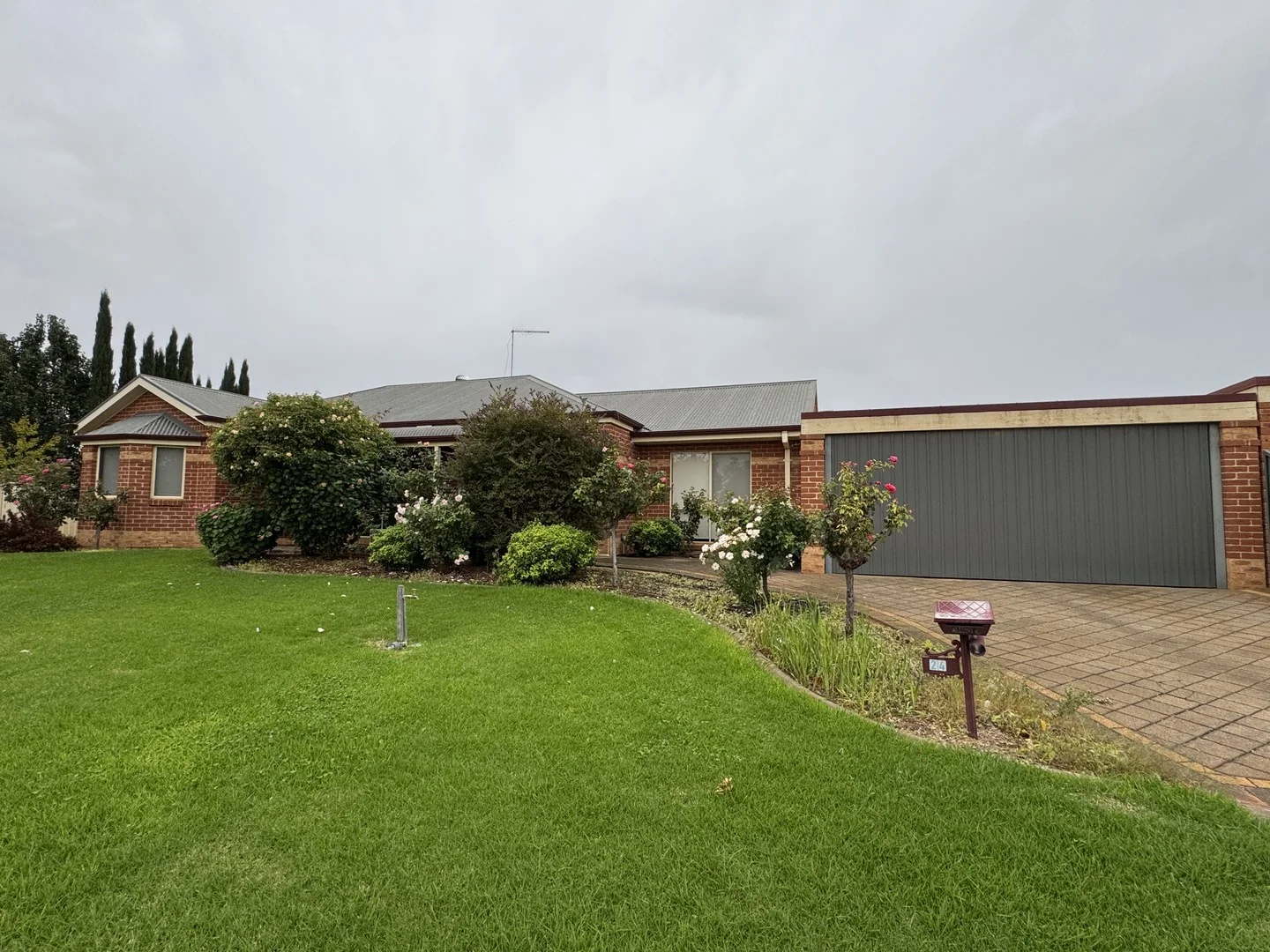 Primary image of 24 Teleki Drive, Irymple VIC 3498