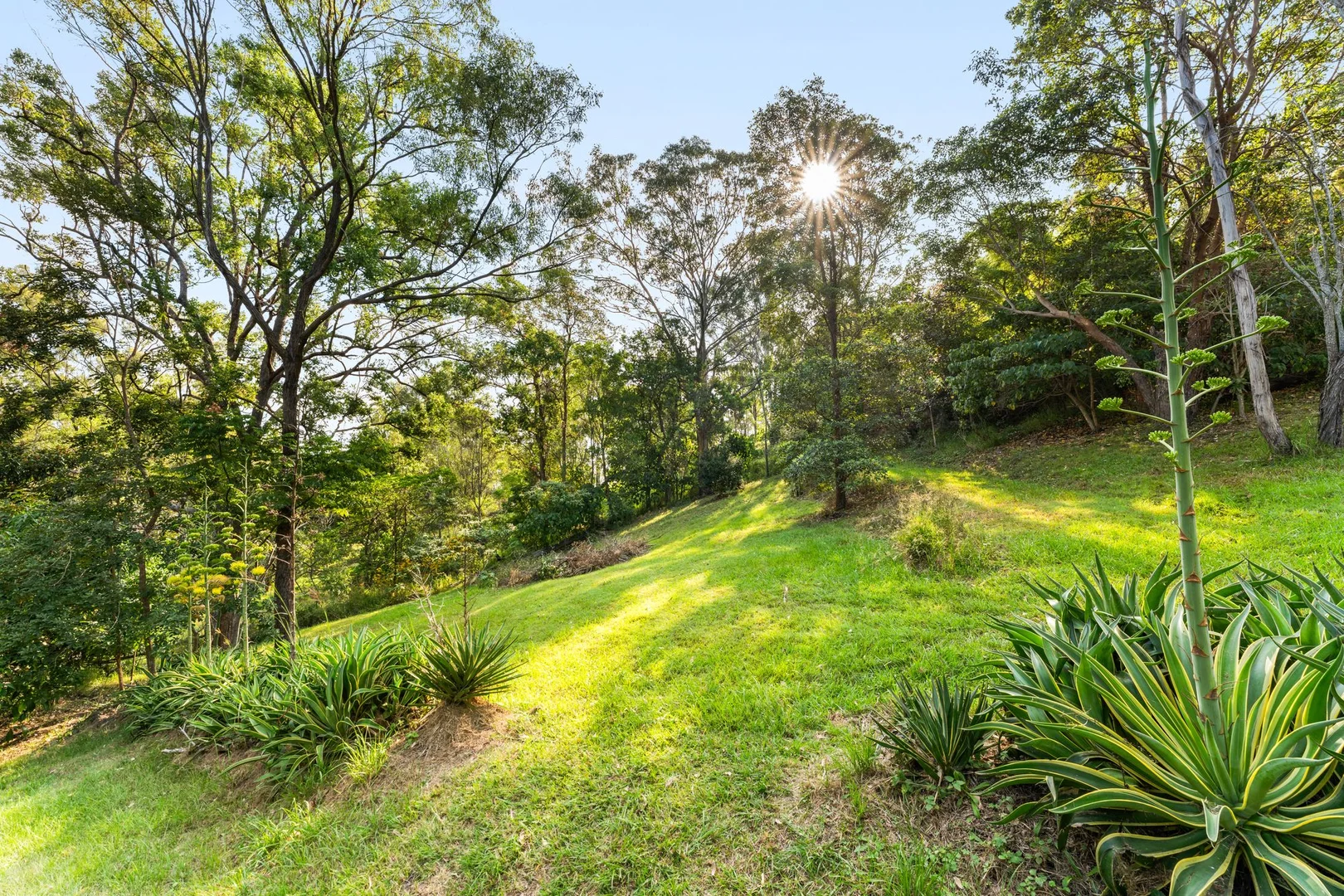 Additional image 23 of 57-63 Buena Vista Drive, Logan Village QLD 4207