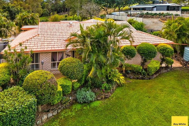 Picture of 111 Burns Street, FERNVALE QLD 4306