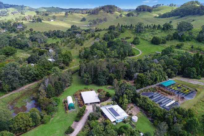 Picture of 81 Bunneys Lane, KIN KIN QLD 4571