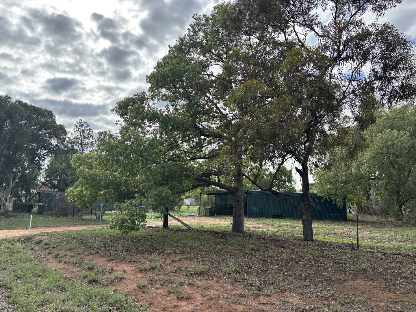 Additional image 3 of 37 Rankin Street, Oaklands NSW 2646