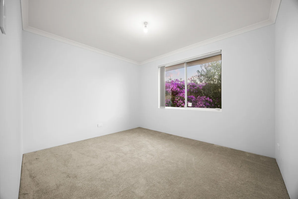 Image 20
