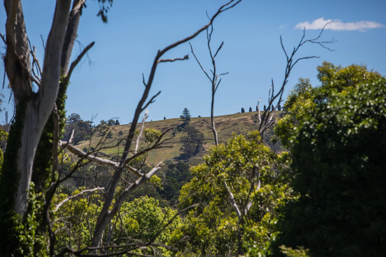 Image 15