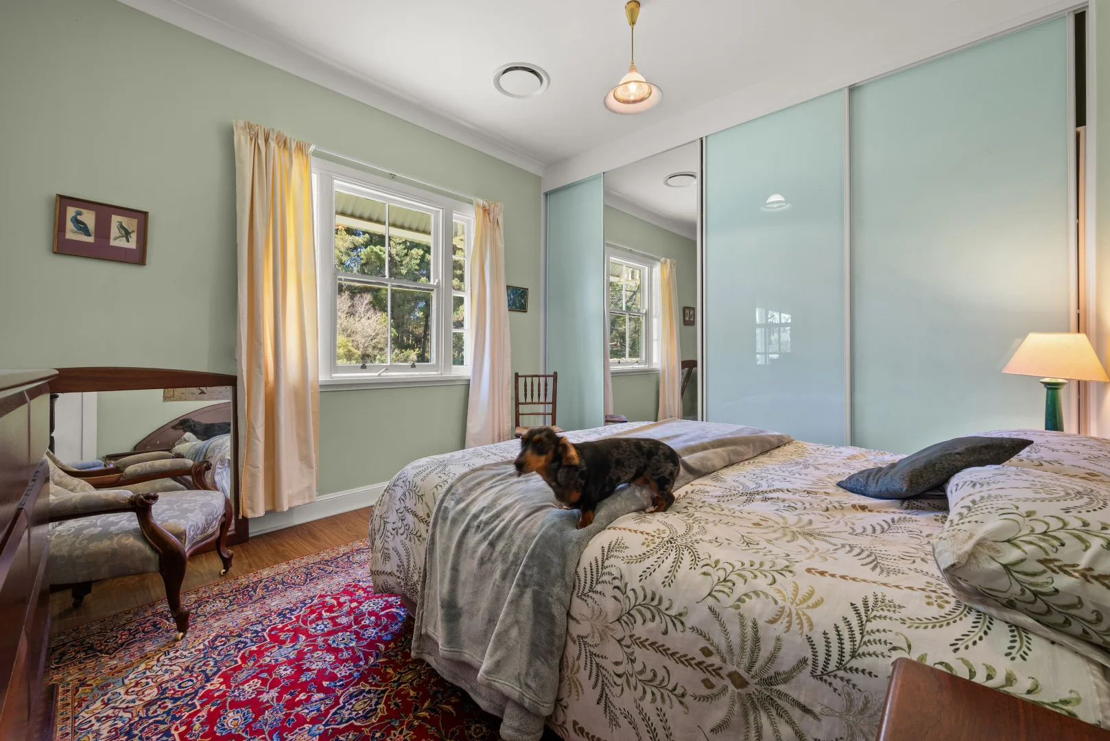 Additional image 30 of 438 Sawyers Ridge Road, Braidwood NSW 2622