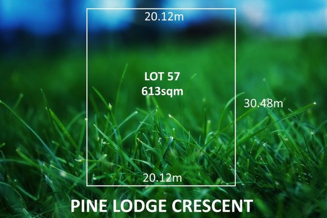Picture of 11 Pine Lodge Crescent, GRANGE SA 5022