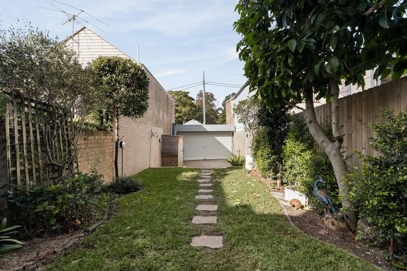 Image 11