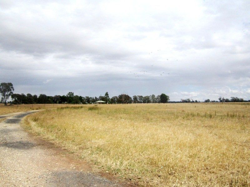 . Kooringal Road, Balldale NSW 2646, Image 2