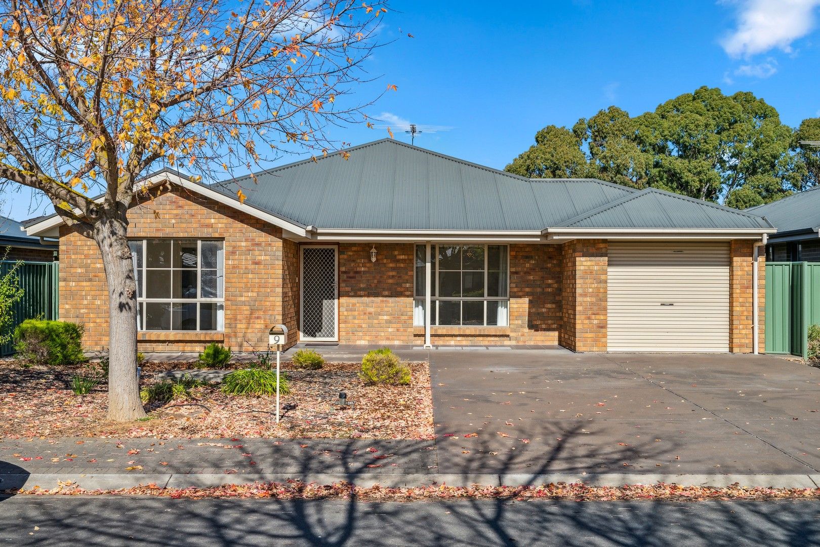 Nuriootpa SA 5355 4 beds house for Sale, 549,950 2018534819 Domain