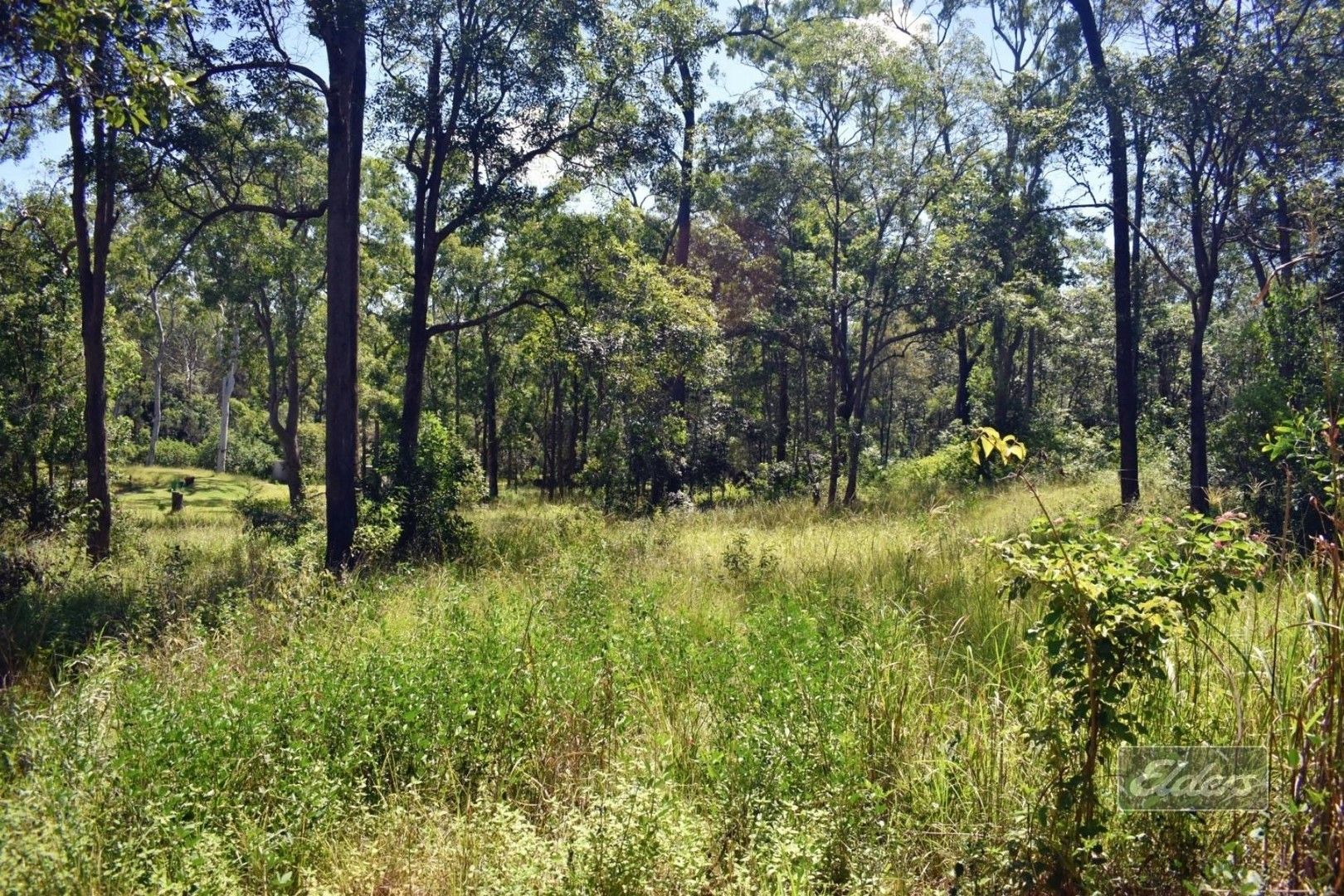 Vacant land in Lot 4 Arbornine Road, GLENWOOD QLD, 4570